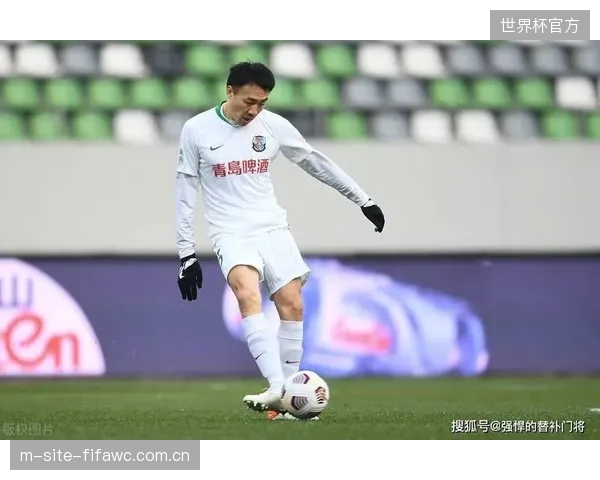 哈利勒扎德等核心后卫均有丰富洲际比赛经验，为伊朗防线提供稳定性保障。